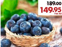 Fresh Blueberries, 125g container