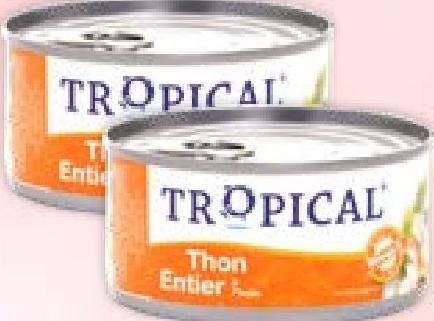 Tropical Tuna Solid In Oil 170g