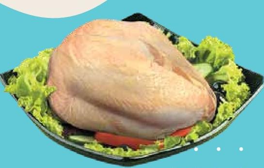 Prodigal Blanc de Poulet Frais avec Carcasse 500g