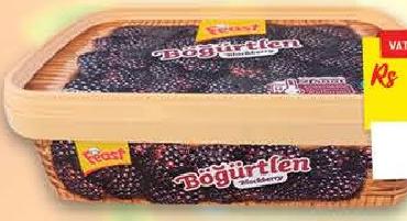 Feast IQF Blackberry 350