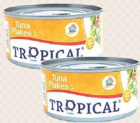 Tropical Tuna Flakes In Oil 170g