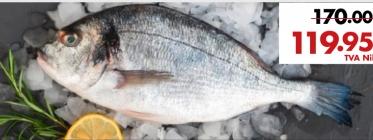 Whole Fresh Sea Bream HTS Les 500 g