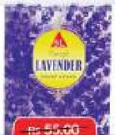 Fancyk Dhoop Sticks 60g (Lavender)