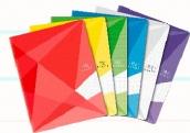 Carrefour Brochure Notebook 17 x 22 cm 192 pages assorted colors