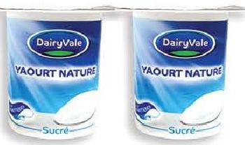 DairyVale Yaourt Nature Sucre 125ml