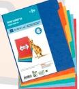 Lot de 6 Intercalaires CARREFOUR