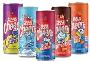 HAUSHBOOM Carbonated Drink 330ml All Refs