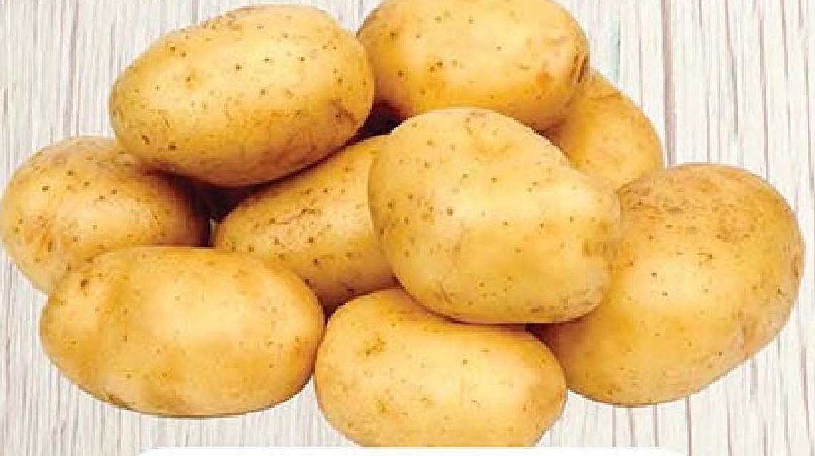 Pomme De Terre Fillet 1.5kg