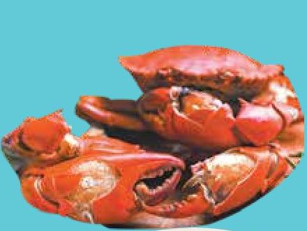 Belpêche Crab Cassé de Madagascar 500g