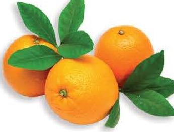 Orange Navel/Cara 500g