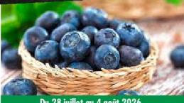Fresh Blueberries, 125g container