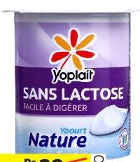 Yoplait Nature Sans Lactose 115g