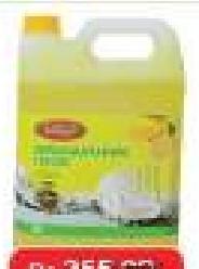 LOLO Dish Wash 5Lt (All Ref)