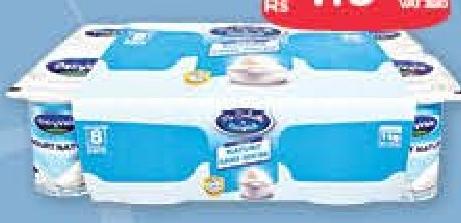 Dairyvale Yaourt Nature sans Sucre 8 x 125 g