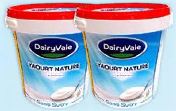 DAIRYVALE Yaqurt Nature 1kg