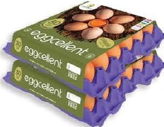 Eggcellent Fresh Egg x30 Standard