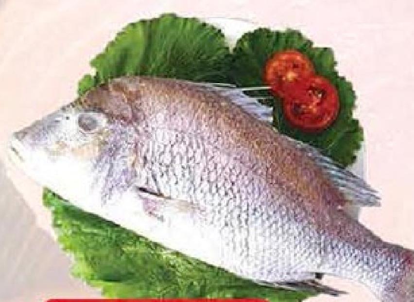 Save Shop Perle Fish 500G