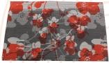 Aquamat Roll 50 x 80 cm