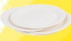 Lot de 100 assiettes