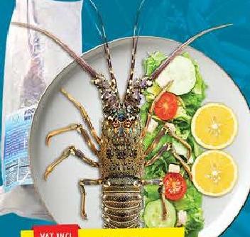 Whole FZ Lobster 500g