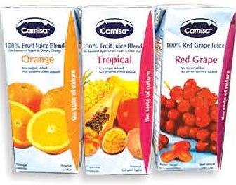 Camisa Juice 200ml (All Refs)