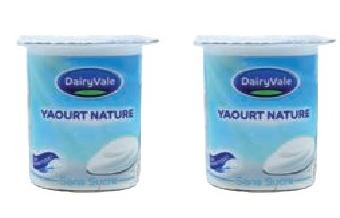 DAIRYVALE Plain Unsweetened Yoghurt 125g