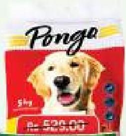 Pongo Croquettes Adults 5Kg