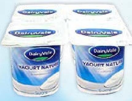 DAIRYVALE Yaourt Nature Sucré 125g