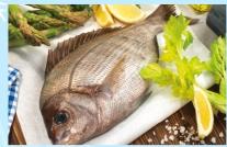 Sea Bream HTS Les 500 g