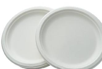 Bio Round Paper Plate 9 Inch X 10