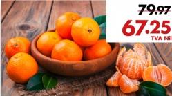 Mandarines VPA Les 500 g