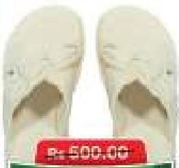 Slipper Adult (34-60) Slip-On Y24