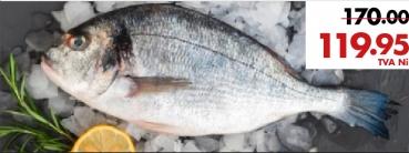 Whole Captain Fish HTS
